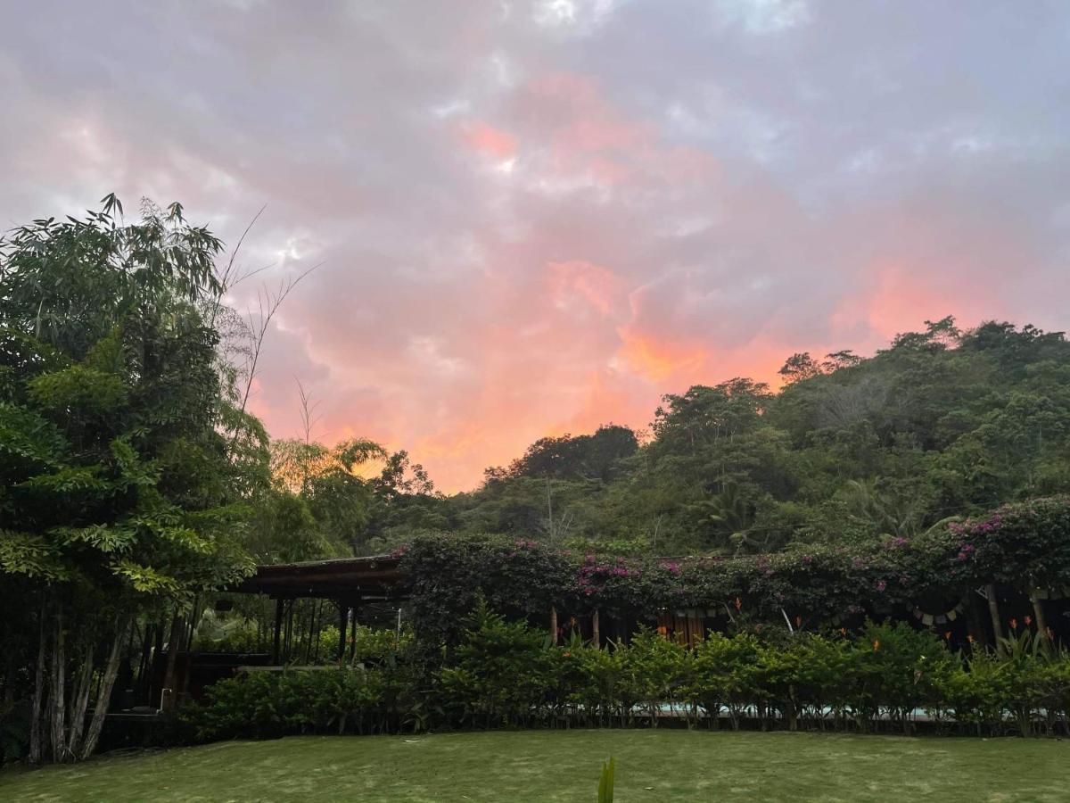 Soul Sync Sanctuary Formally Hacienda La Moringa Daire Playa Hermosa  Dış mekan fotoğraf