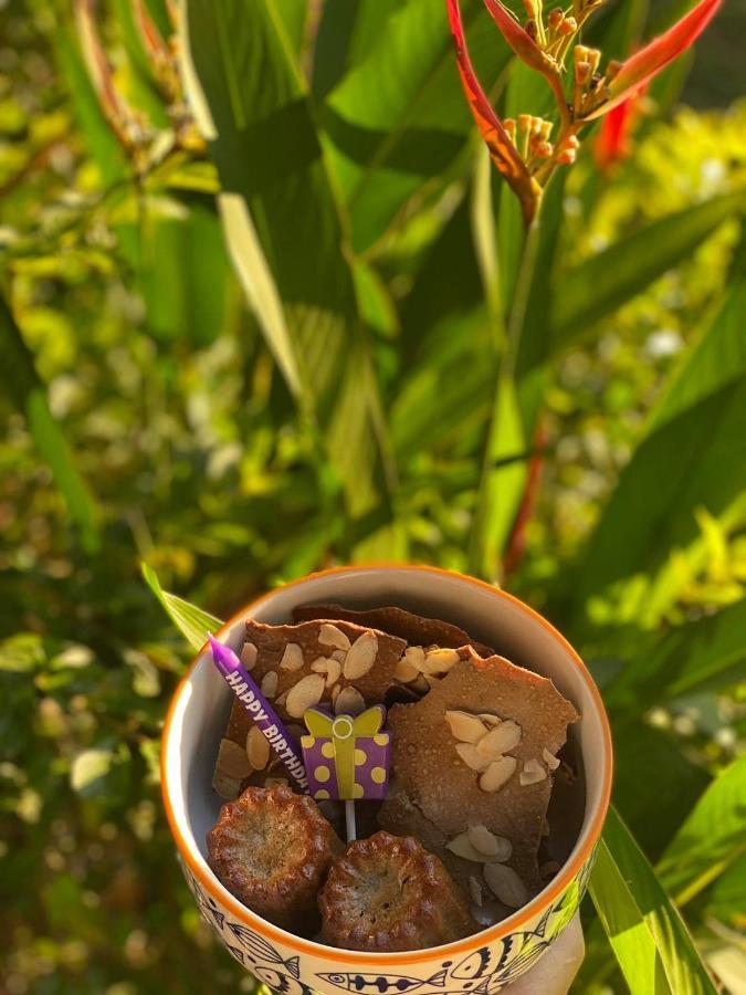 Soul Sync Sanctuary Formally Hacienda La Moringa Daire Playa Hermosa  Dış mekan fotoğraf